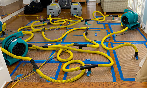 Professional Crawl Space Water Removal technician working in Essington, PA